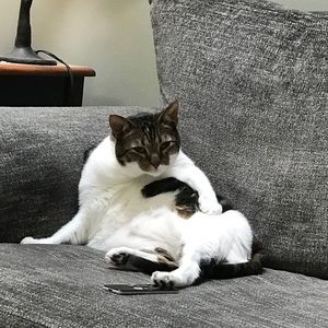 Meet your Posher, An